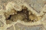 Yellow Crystal Filled Septarian Geode - Utah #204030-1